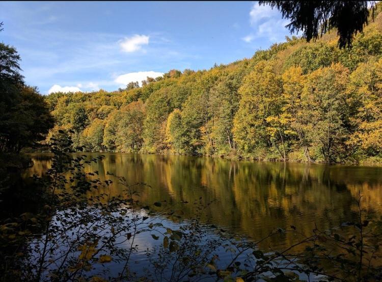 Lovely For 6guest Forest Park 10minutes From Center Apartmán *